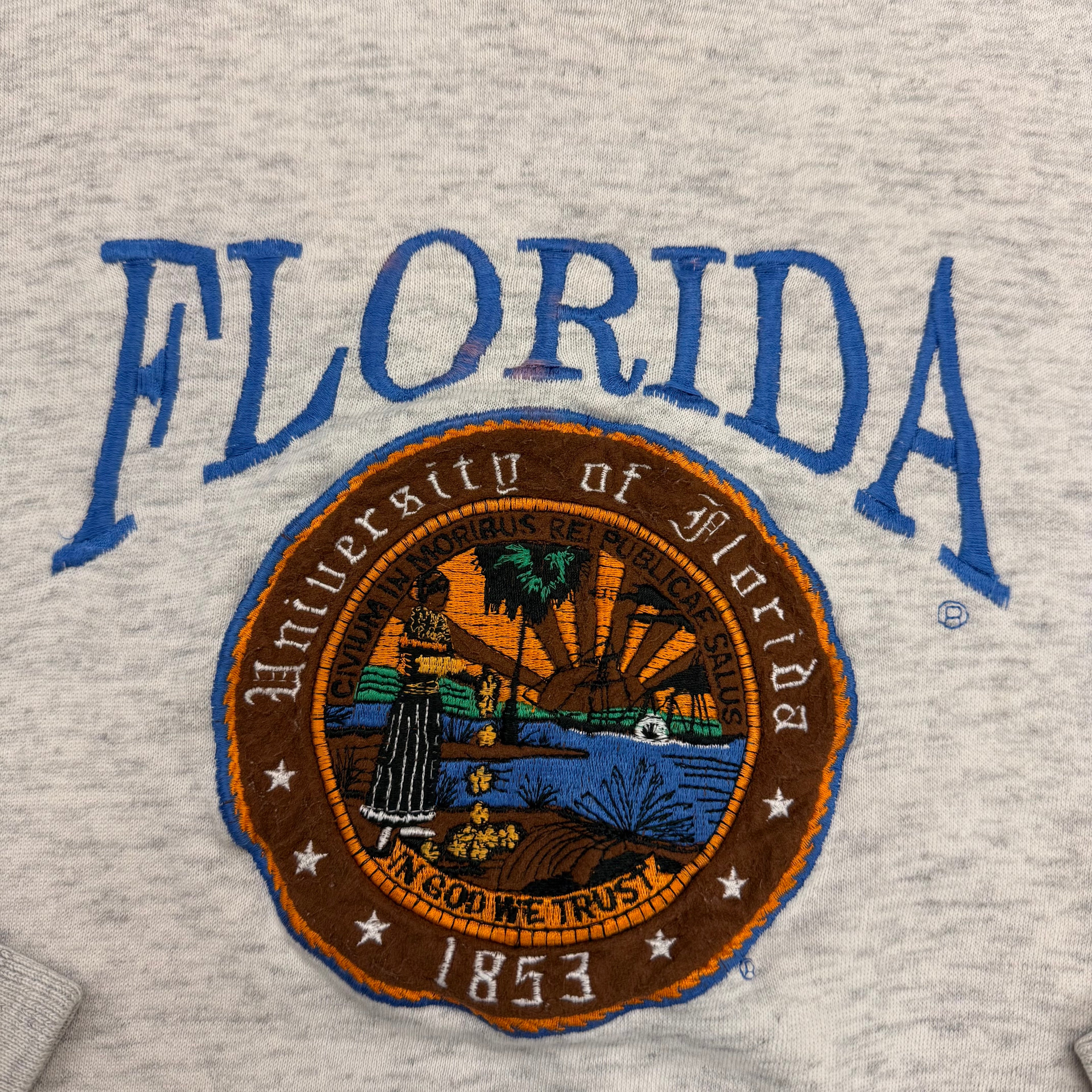 University of Florida Pinstripe Sweatshirt - XL